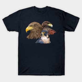 Pigargo and Falcons T-Shirt